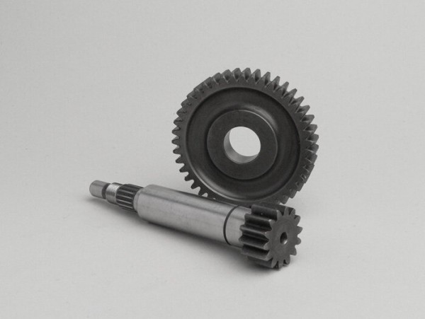 Primary Gears Polini