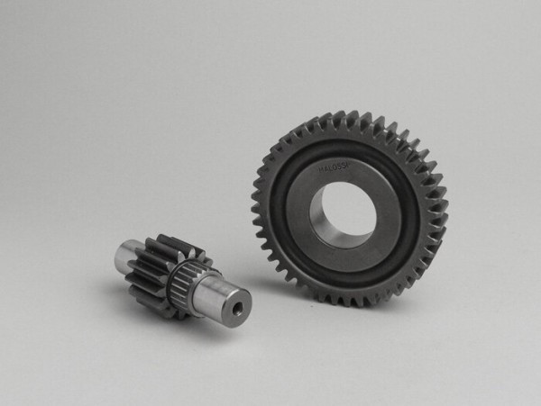 Secondary Gears Malossi