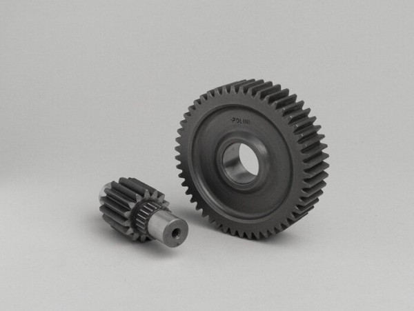 Secondary Gears Polini