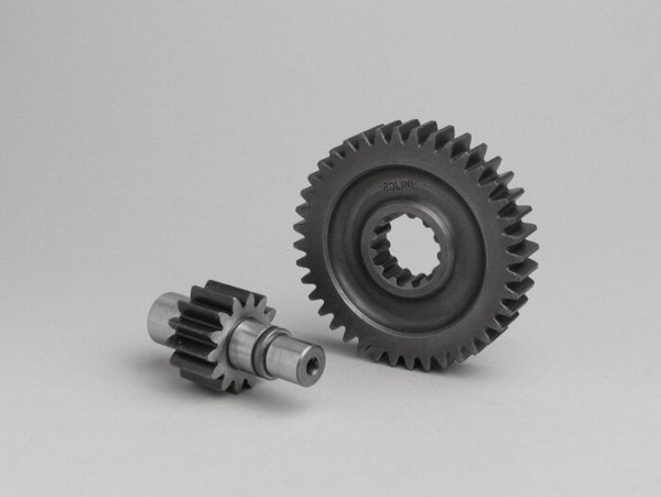 Secondary Gears Polini