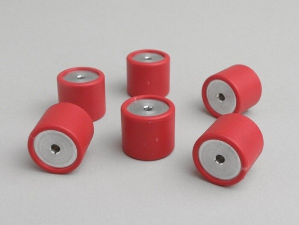 Rollers Polini19x17mm 10.2g