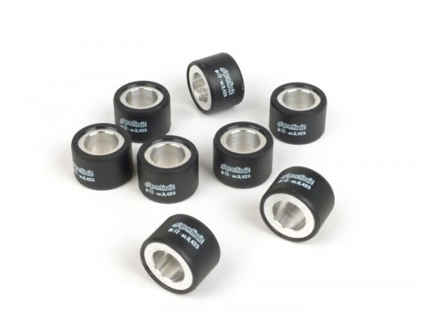 Rollers Polini 25x17mm Set Of 8  11gr