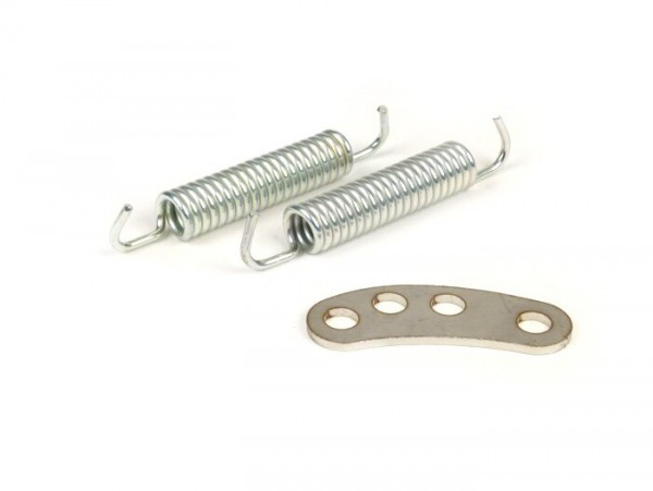 Retaining Plate Incl. Exhaust Springs BGM Pro Bigbox Sport