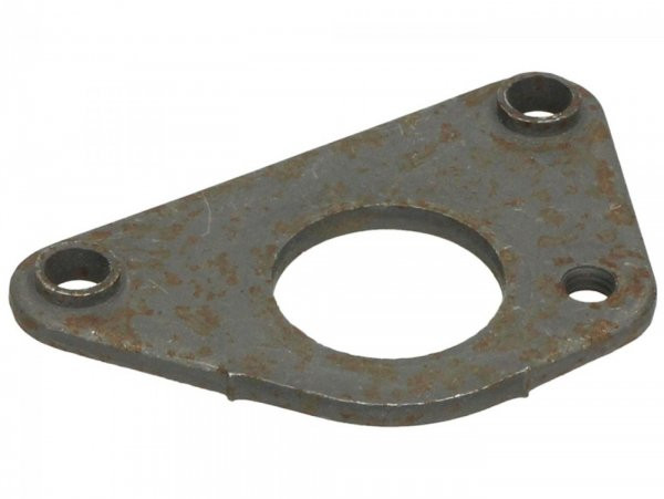 Retaining Plate For Oil Pump Pinion Piaggio