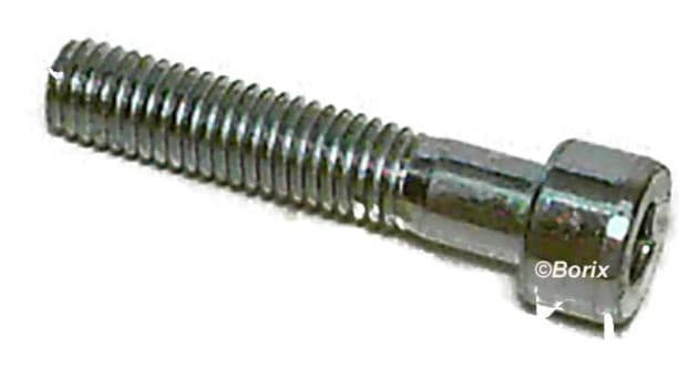 Inbusbout M5 X 45 (P.25)