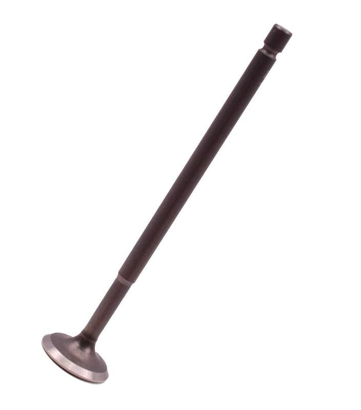 Inlaatklep Oem | Piaggio 4T 3V