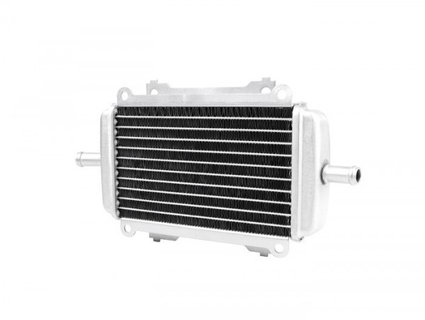 Radiator Piaggio