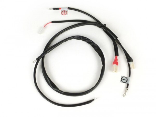 Wire Group For Electric Starter Motor BGM Original