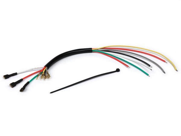 Wiring Stator Plate Vesparatur  With Grey Cable