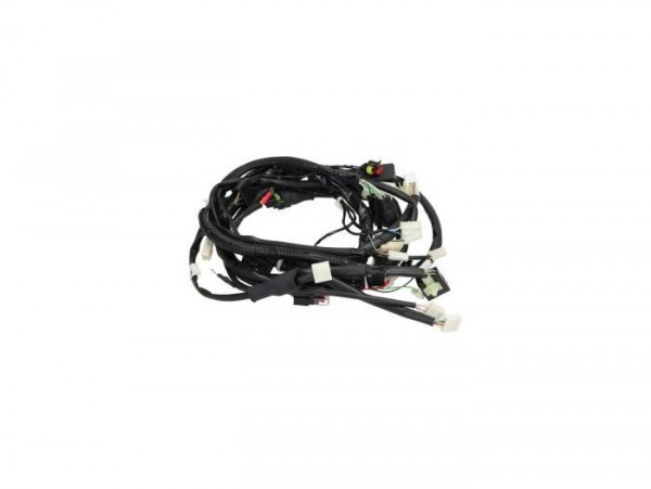 Wiring Loom Piaggio