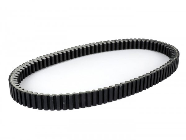 Vbelt Polini