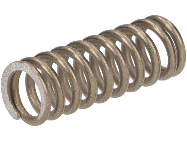 Clutch Spring BGM Pro Xl  1 Pc