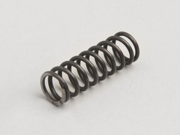 Cluch Spring Piaggio  1 Pc