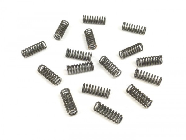Spring Set For Clutch BGM Pro Superstrong BGM Pro Xl  16 Pcs
