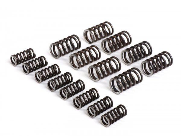 Spring Set For Clutch Fabbri Racing (xxl)  16 Pcs