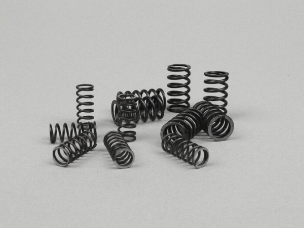 Cluch Spring Set Newfrenvespa Pk50 Xl Fl (v5n1t), Pk50 Hp (v5n2t), Pk50 Xl2 (v5x3t), Pk125 N Fl (vmx7t), Pk125 Xl2 (vmx6t)  12 Pcs