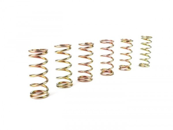 Cluch Spring Set Newfren  6 Pcs