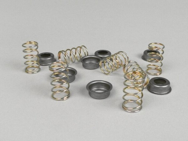 Cluch Spring Set Pinasco  7 Pcs