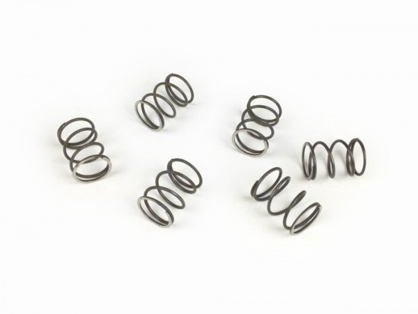 Clutch Spring Set Surflex  6 Pcs