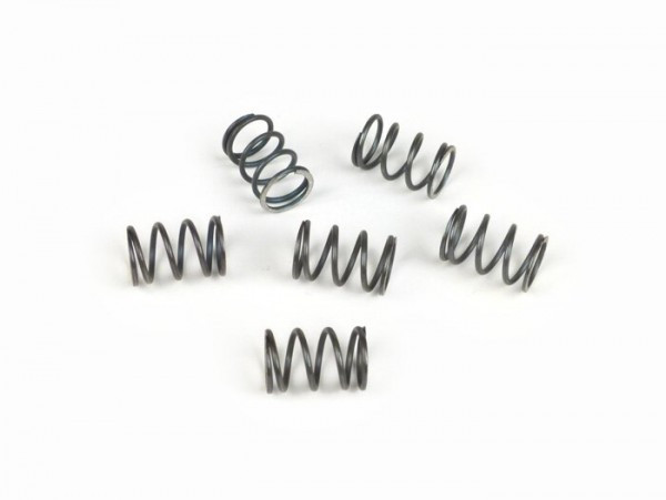 Cluch Spring Set Surflex  6 Pcs