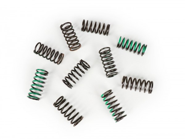 Clutch Spring Set BGM Pro  10 Pcs