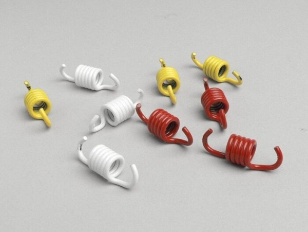 Clutch Spring Set Malossi