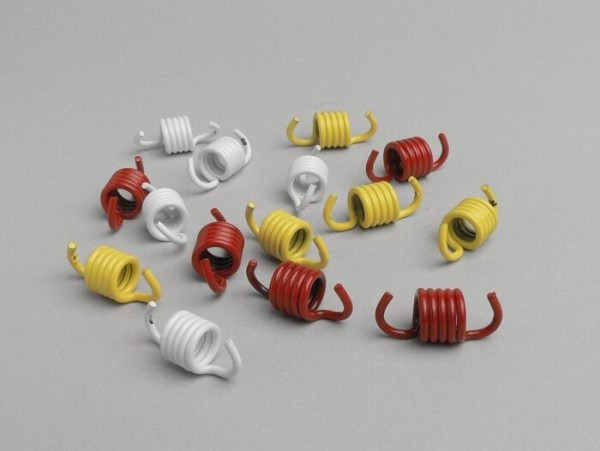 Clutch Spring Set Malossi