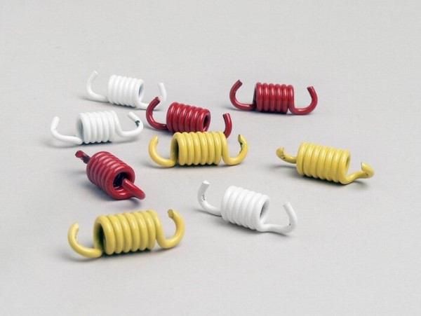 Clutch Spring Set Malossi