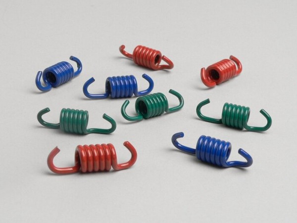 Clutch Spring Set Malossi