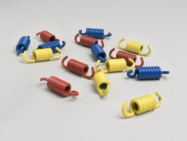 Clutch Spring Set Malossi Piaggio 400500cc Master (05.2004-)