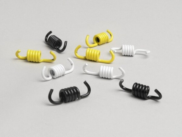 Clutch Spring Set Malossi Piaggio 50cc (type Sfera 1)