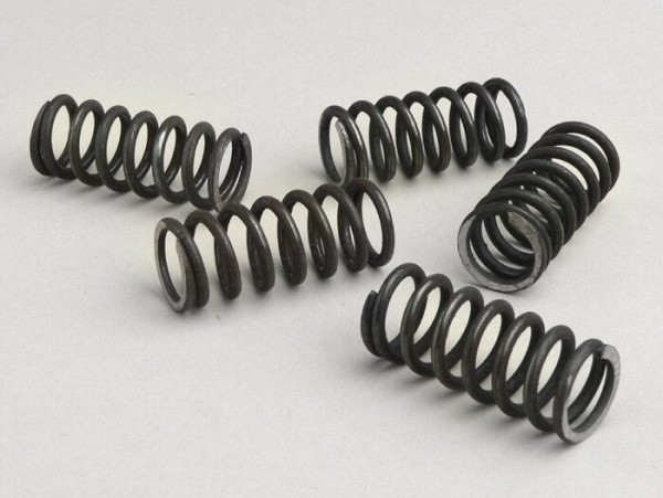 Clutch Spring Set (reinforced) Mb Developments Lambretta (series 13) 5 Pcs