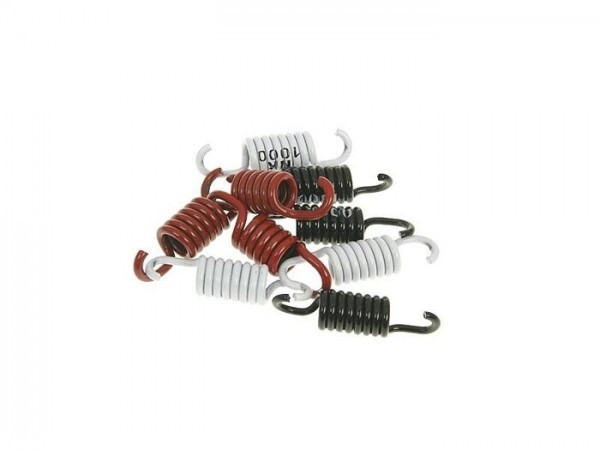 Clutch Spring Kit Naraku