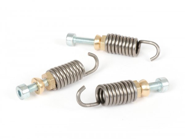 Clutch Spring Set Polini  S Wing 150