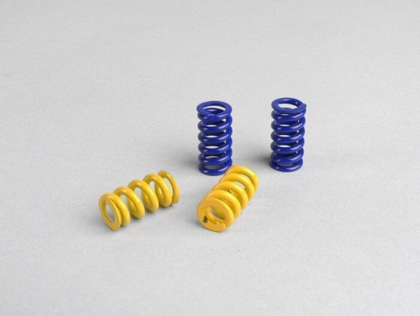 Clutch Spring Set Polini Evolution 3 G2 For Polini G2 Clutch