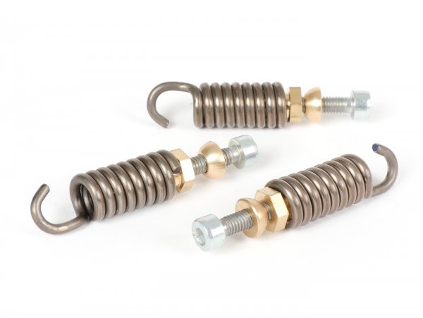 Clutch Spring Set Polini For Race 3g, Ø2,2mm