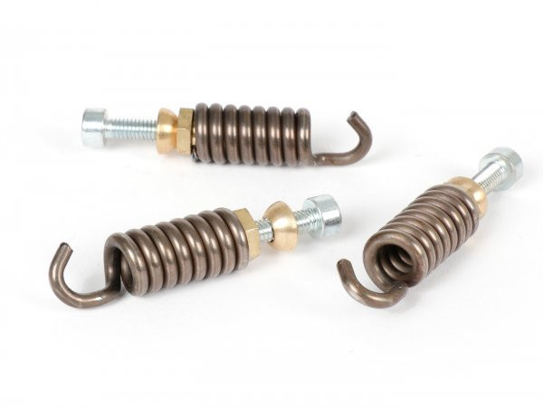 Clutch Spring Set Polini For Race 3g, Ø2.4mmx31.7mm  >