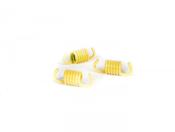 Clutch Spring Set Racing Malossi