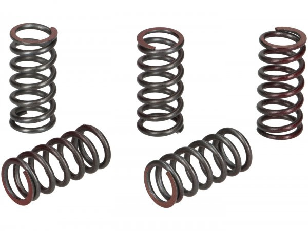 Clutch Spring Set (reinforced) BGM Pro  5 Pcs