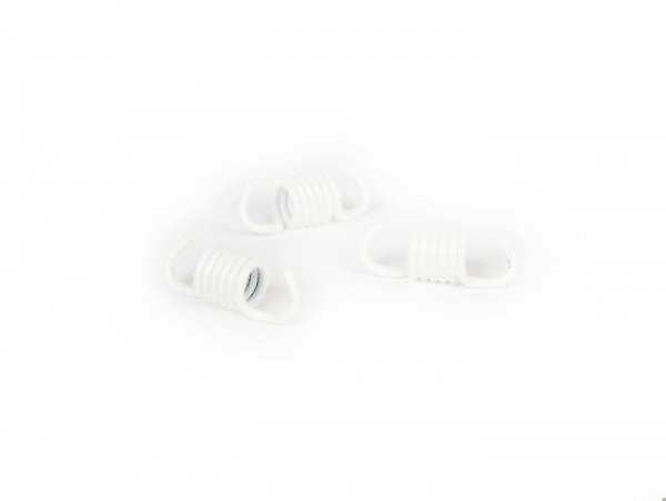 Clutch Spring Set Reinforced Malossi