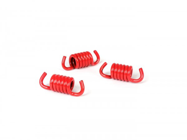 Clutch Spring Set Reinforced Malossi