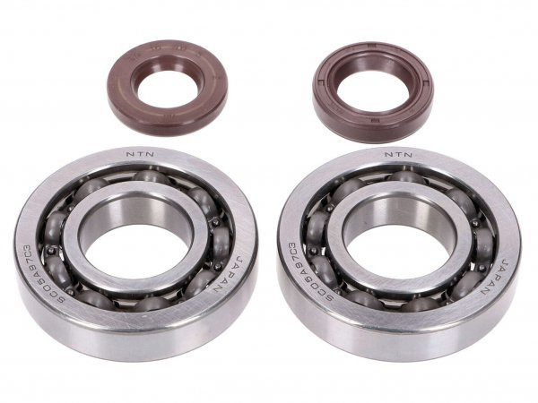 Crankshaft Bearings Naraku Fkm Heavy Duty C3 Left And Right Incl. Oil Seals For Peugeot 100cc 2stroke