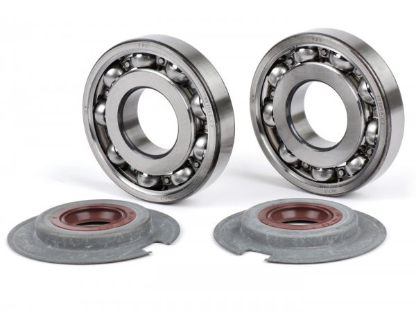 Bearing And Oil Seal Set For Crankshaft BGM Pro Fkm/viton® (e10/etahnol Resistant), Fag Bearing (9 Balls)  -313583)