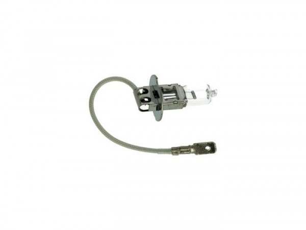 Light Bulb Piaggio Pk22s (h3) 12v 55w  White