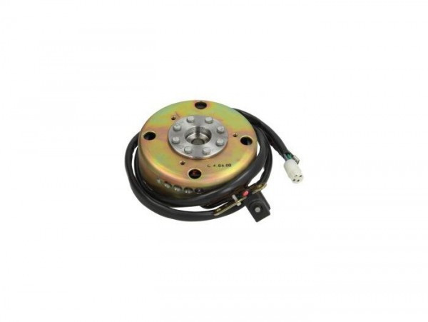 Ontsteking Compleet (stator + Roodor) Piaggio (piaggio)