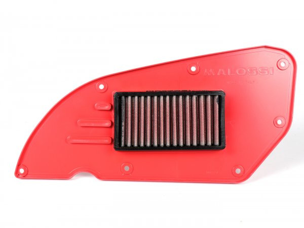 Air Filter Malossi