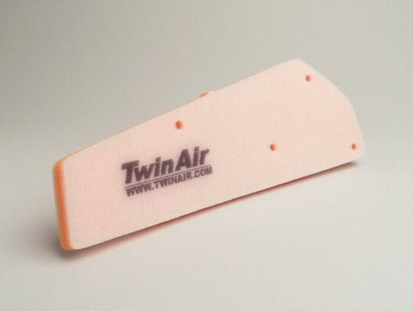 Air Filter Twin Air