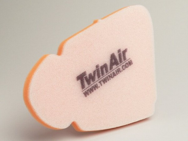 Air Filter Twin Air