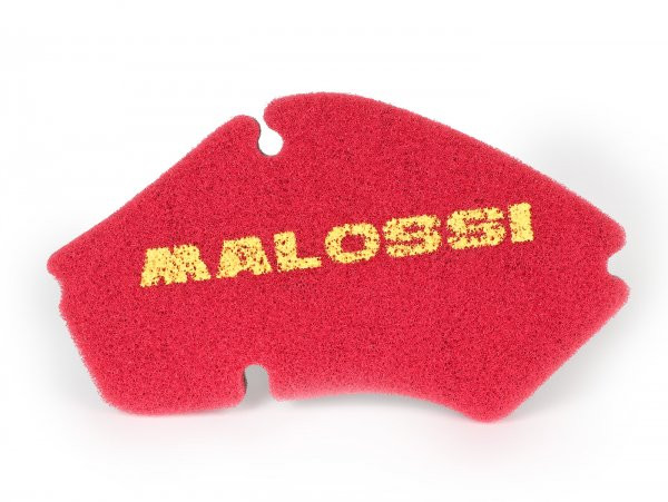 Air Filter Malossi Double Red Sponge
