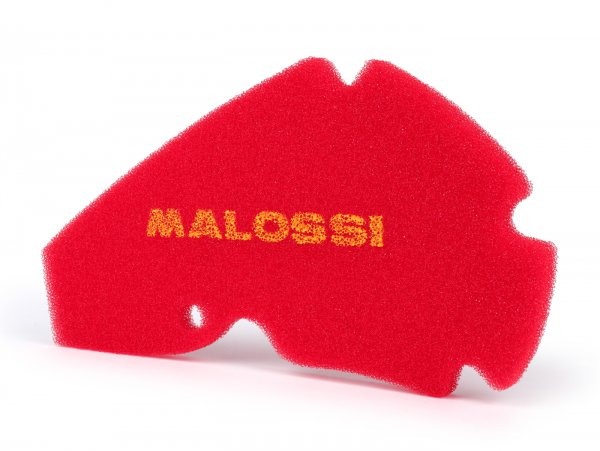 Air Filter Malossi Red Sponge
